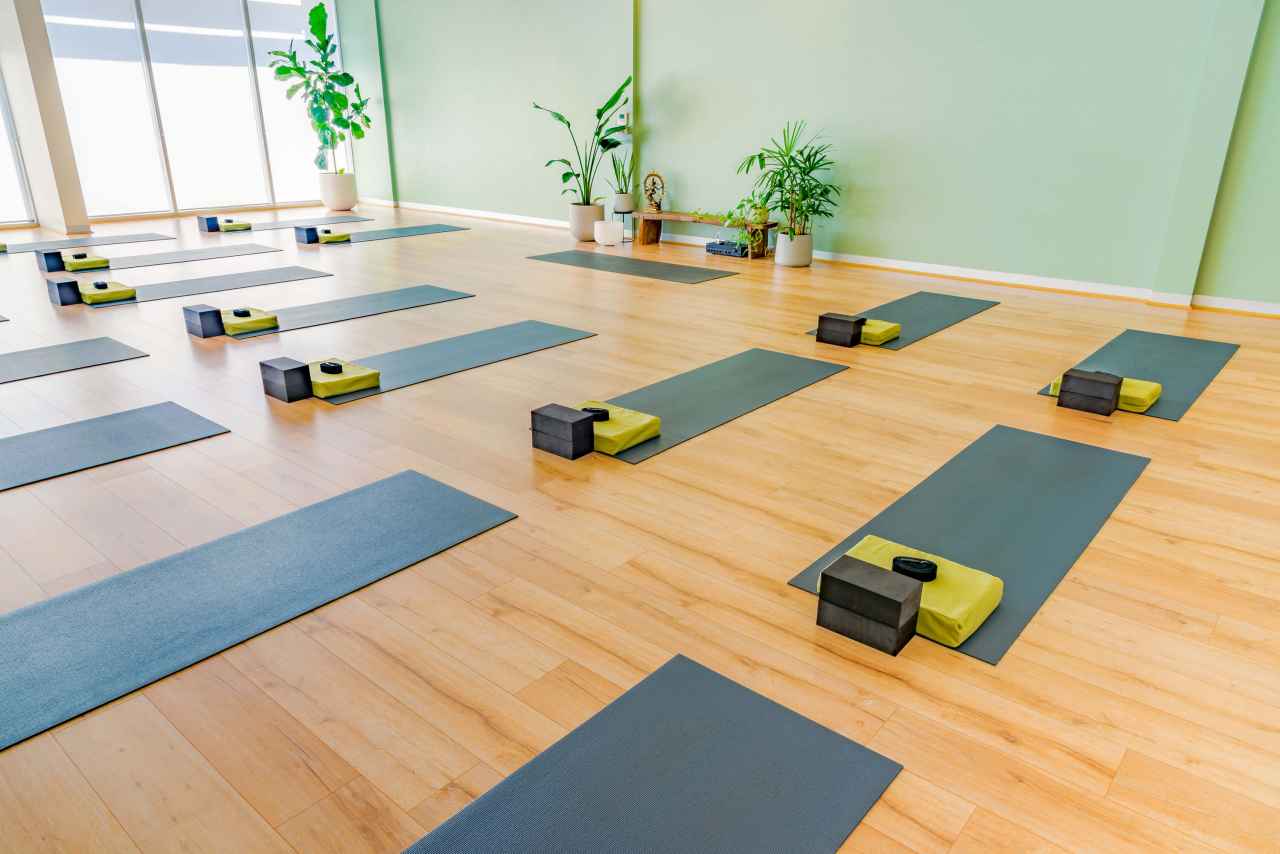 Western Wellness Yoga studio